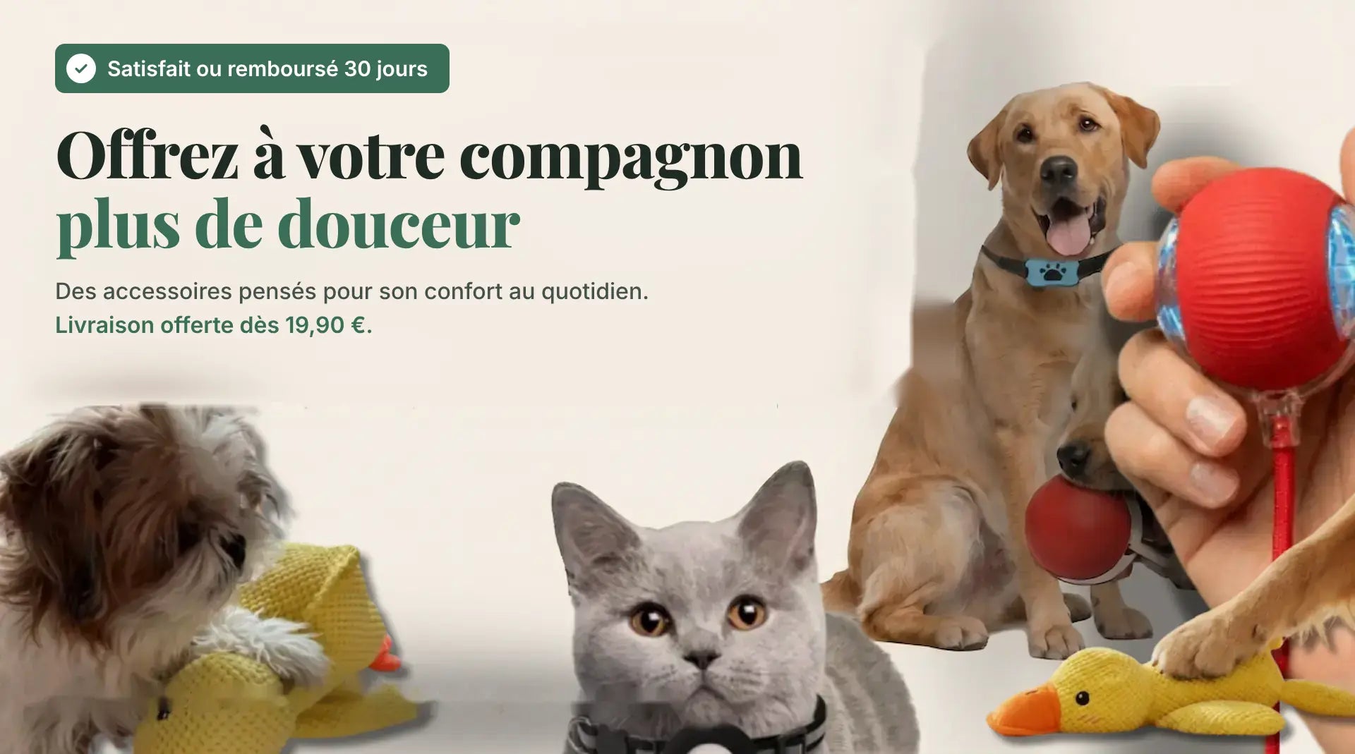 Offrez à votre compagnon plus de douceur, accessoires pour chiens et chats, livraison offerte dès 19,90 €.