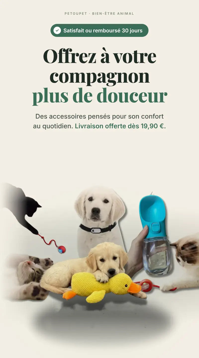 Offrez à votre compagnon plus de douceur : doudou canard, gourde de voyage et jouets pour chiens et chats, livraison offerte dès 19,90 €.