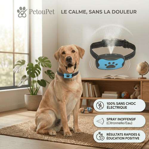 Collier Anti-Aboiement Intelligent - Sans Choc