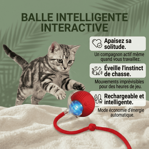 Balle Interactive pour Chat – Anti-Ennui & Automatique