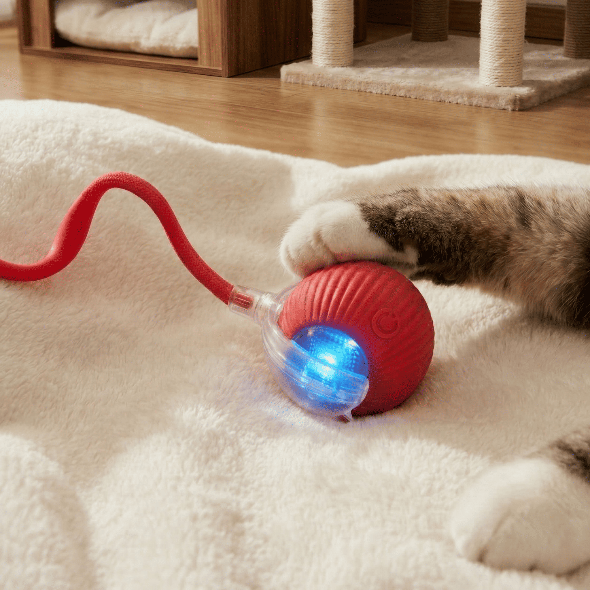 Balle Interactive pour Chat – Anti-Ennui & Automatique