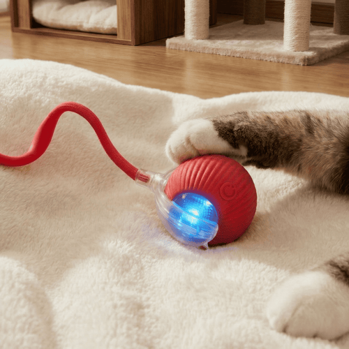 Balle Interactive pour Chat – Anti-Ennui & Automatique