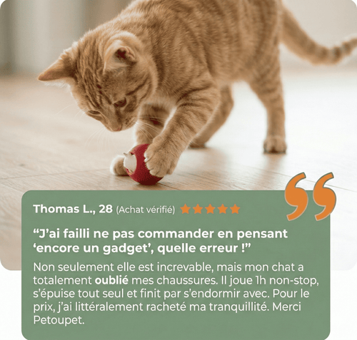 Balle Interactive pour Chat – Anti-Ennui & Automatique