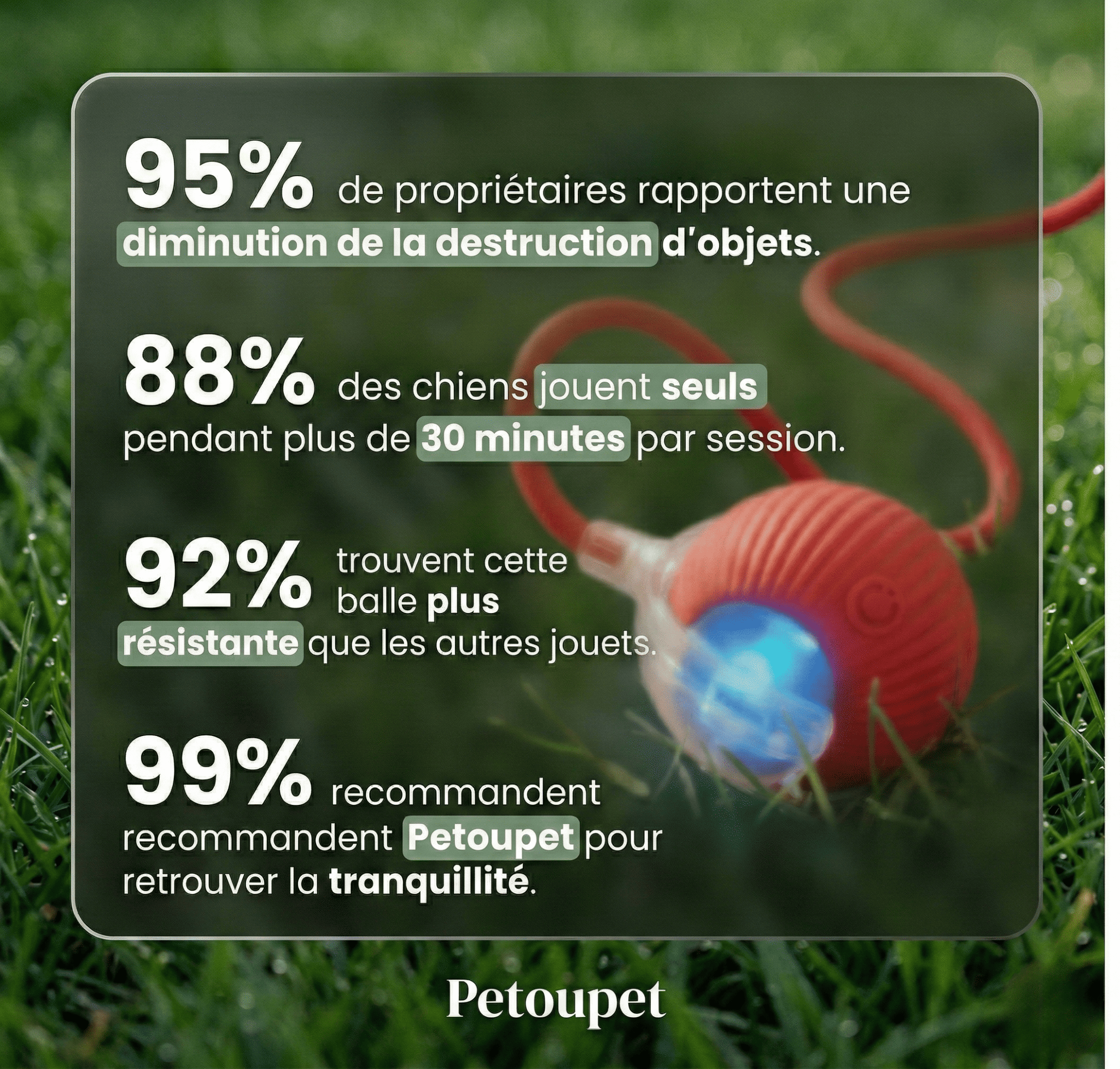 Balle Interactive pour Chat – Anti-Ennui & Automatique
