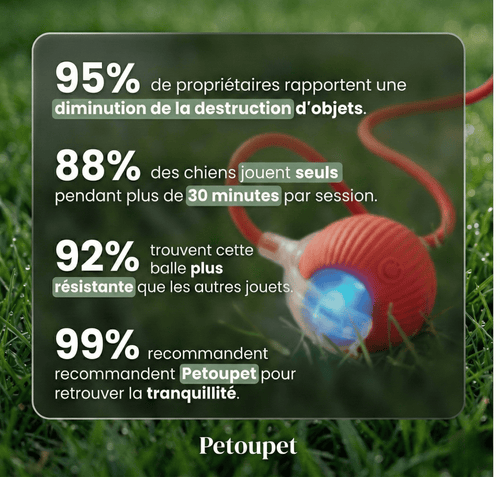 Balle Interactive pour Chat – Anti-Ennui & Automatique