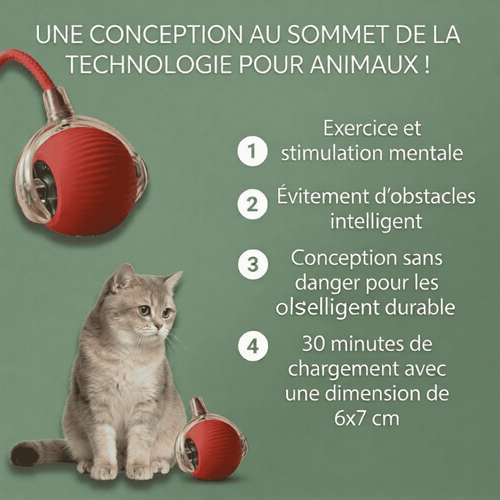 Balle Interactive pour Chat – Anti-Ennui & Automatique