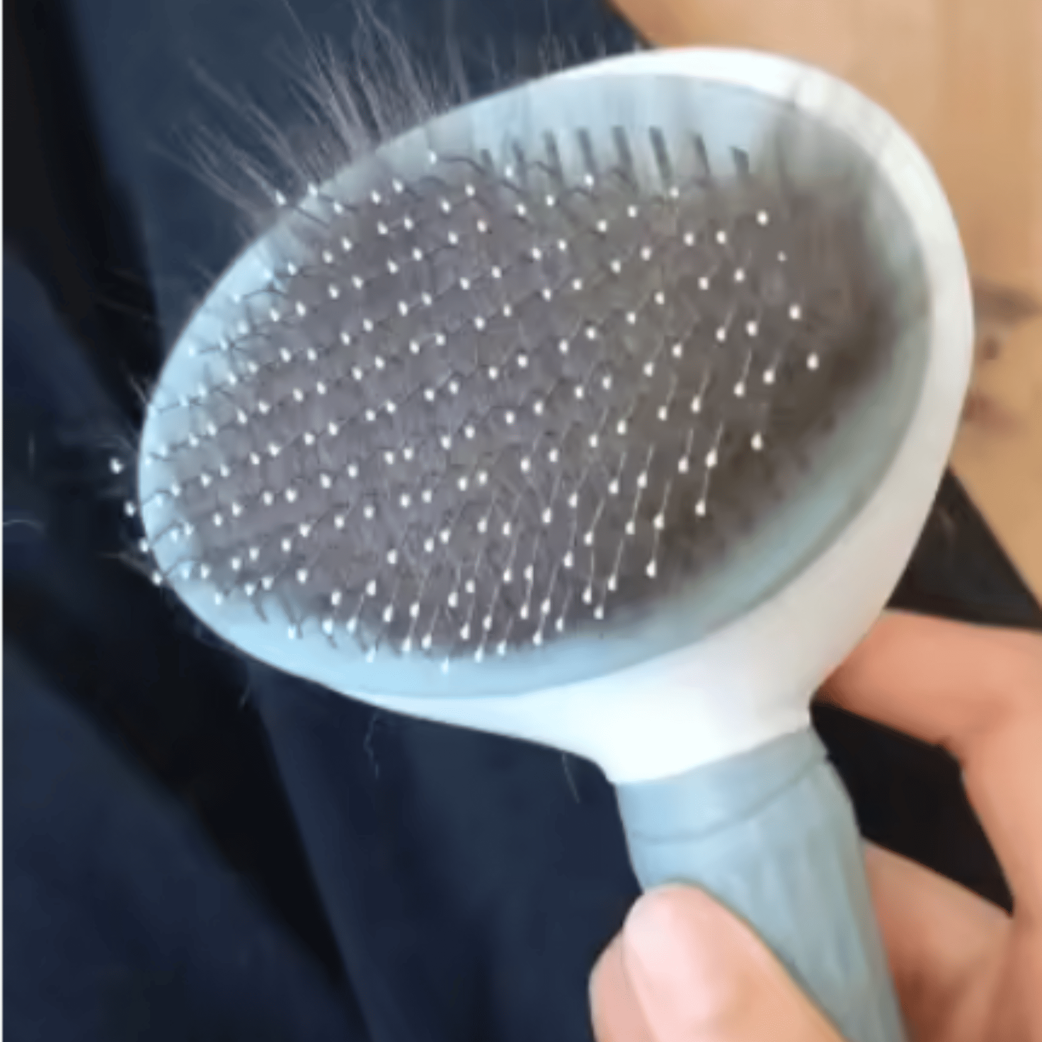 bross auto-nettoyante pour animaux