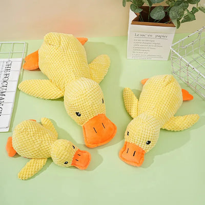 Peluche anti stress Chien