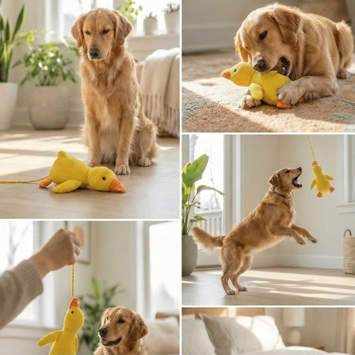 Peluche anti stress Chien