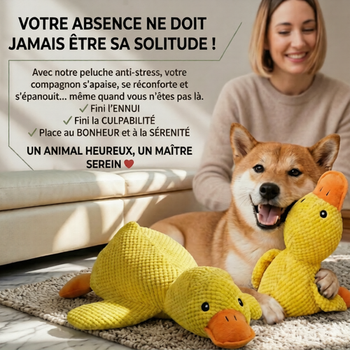 Peluche anti stress Chien