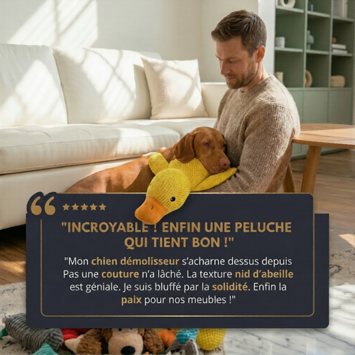 Peluche anti stress Chien