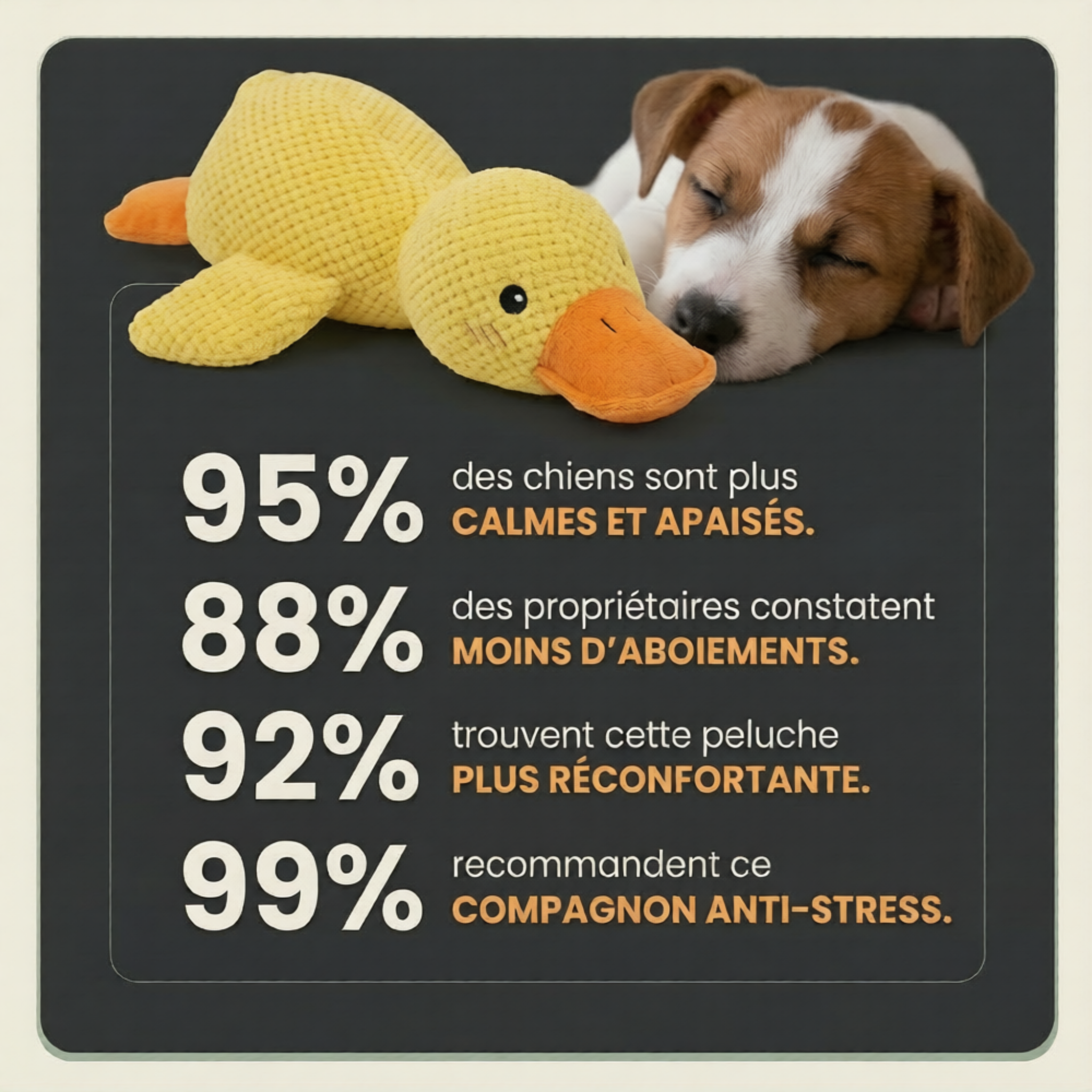 Peluche anti stress Chien