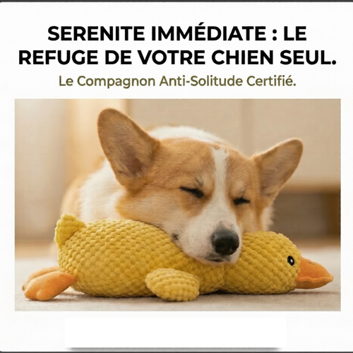 Peluche anti stress Chien