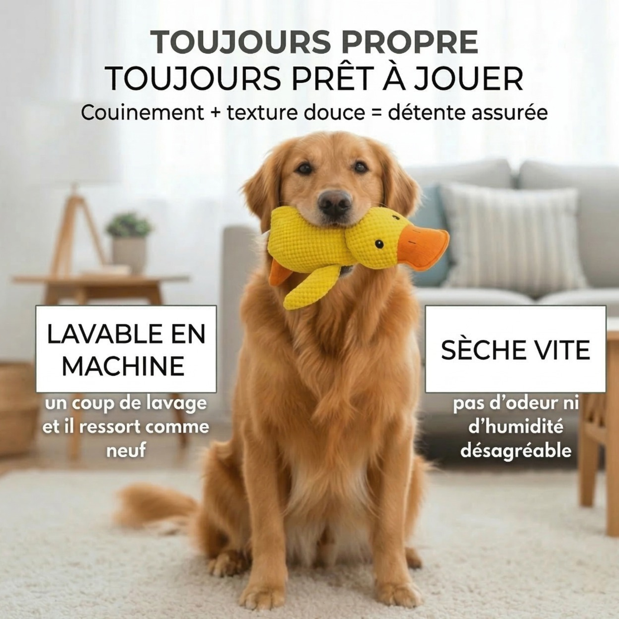 Peluche anti stress Chien