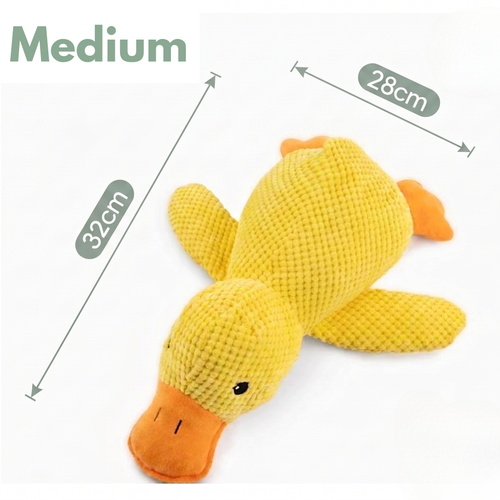 Peluche anti stress Chien