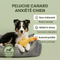 Peluche anti stress Chien
