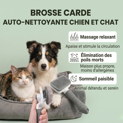 Brosse Carde Auto-Nettoyante pour Chien & Chat
