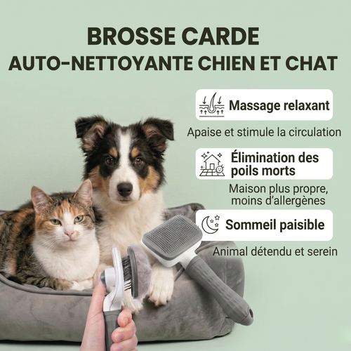 Brosse Carde Auto-Nettoyante pour Chien & Chat