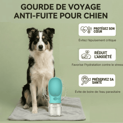 Gourde de Voyage Anti-Fuite pour Chien