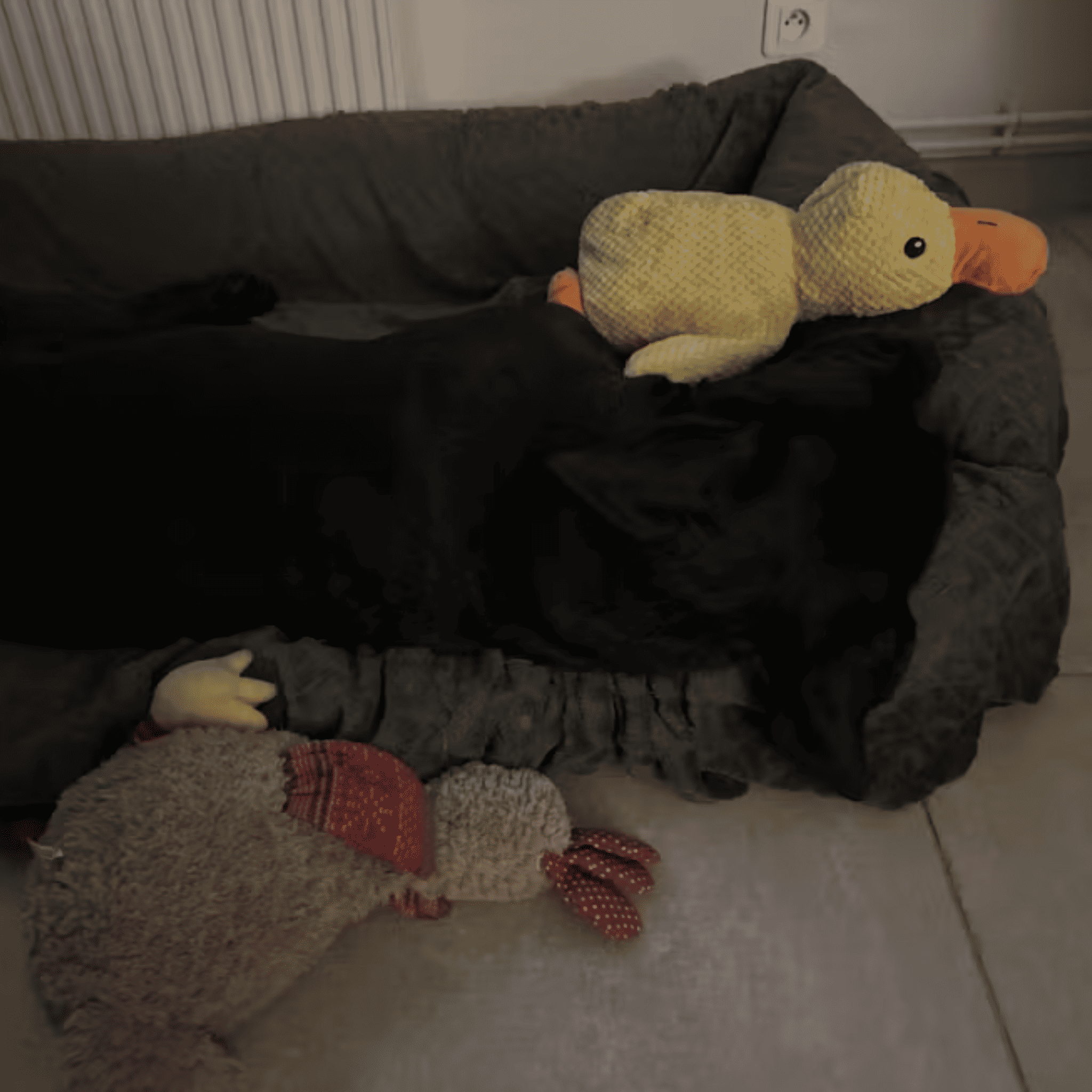 Peluche anti stress Chien