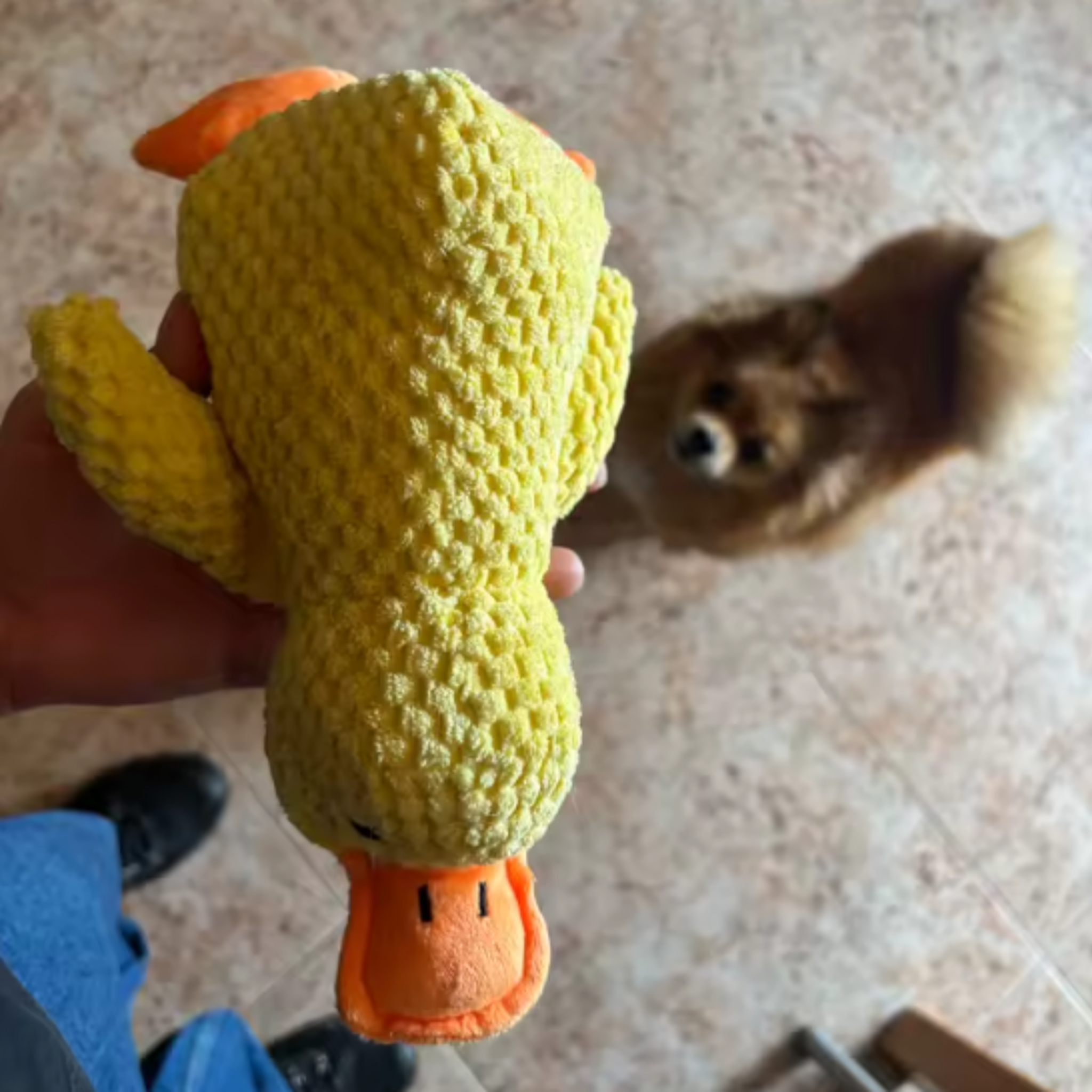 Peluche Anti-Stress pour Chien | Doudou Canard Apaisant
