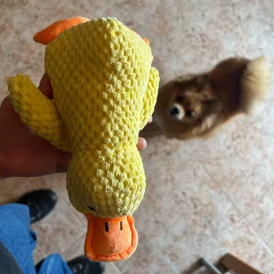 Peluche Anti-Stress pour Chien | Doudou Canard Apaisant