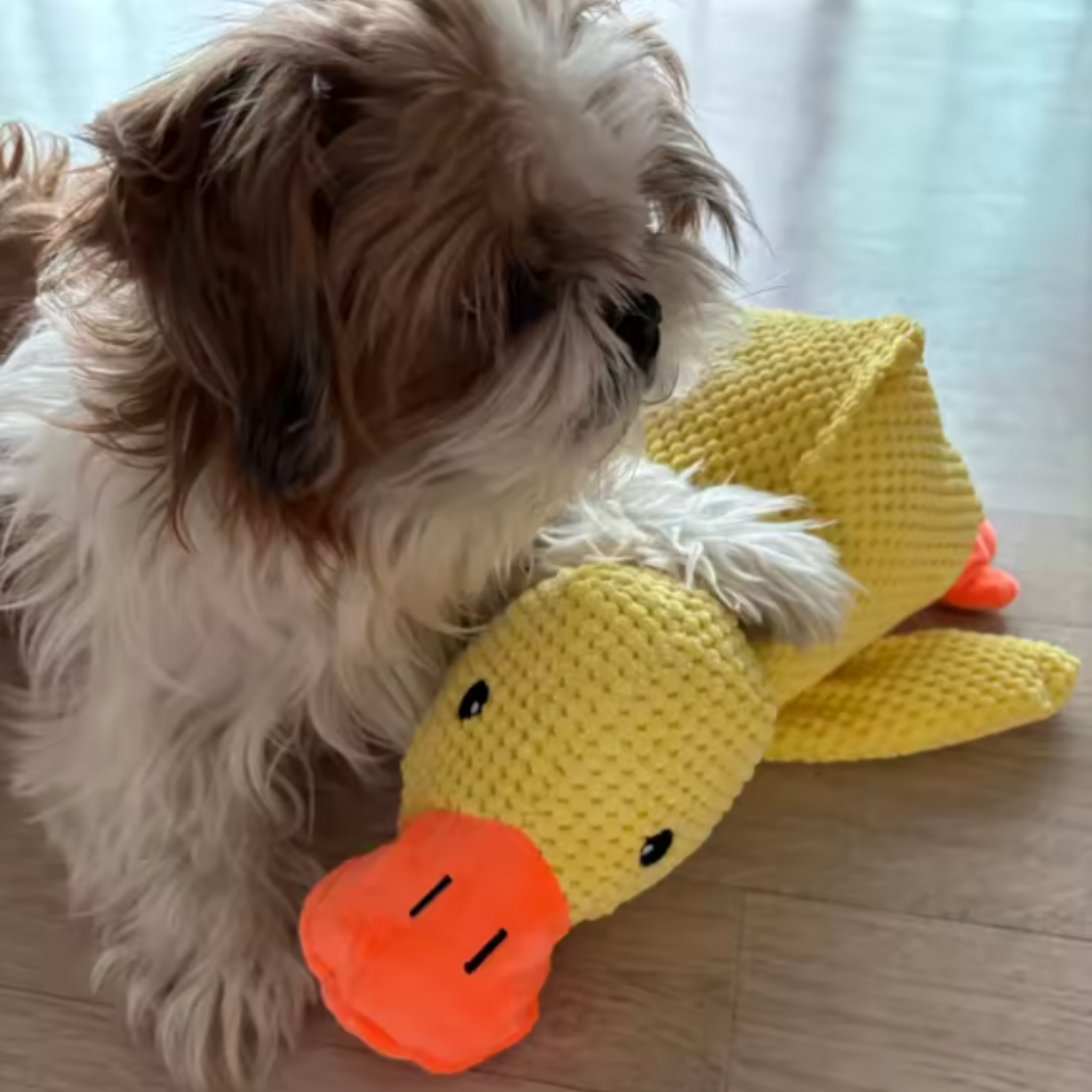 Peluche Anti-Stress pour Chien | Doudou Canard Apaisant