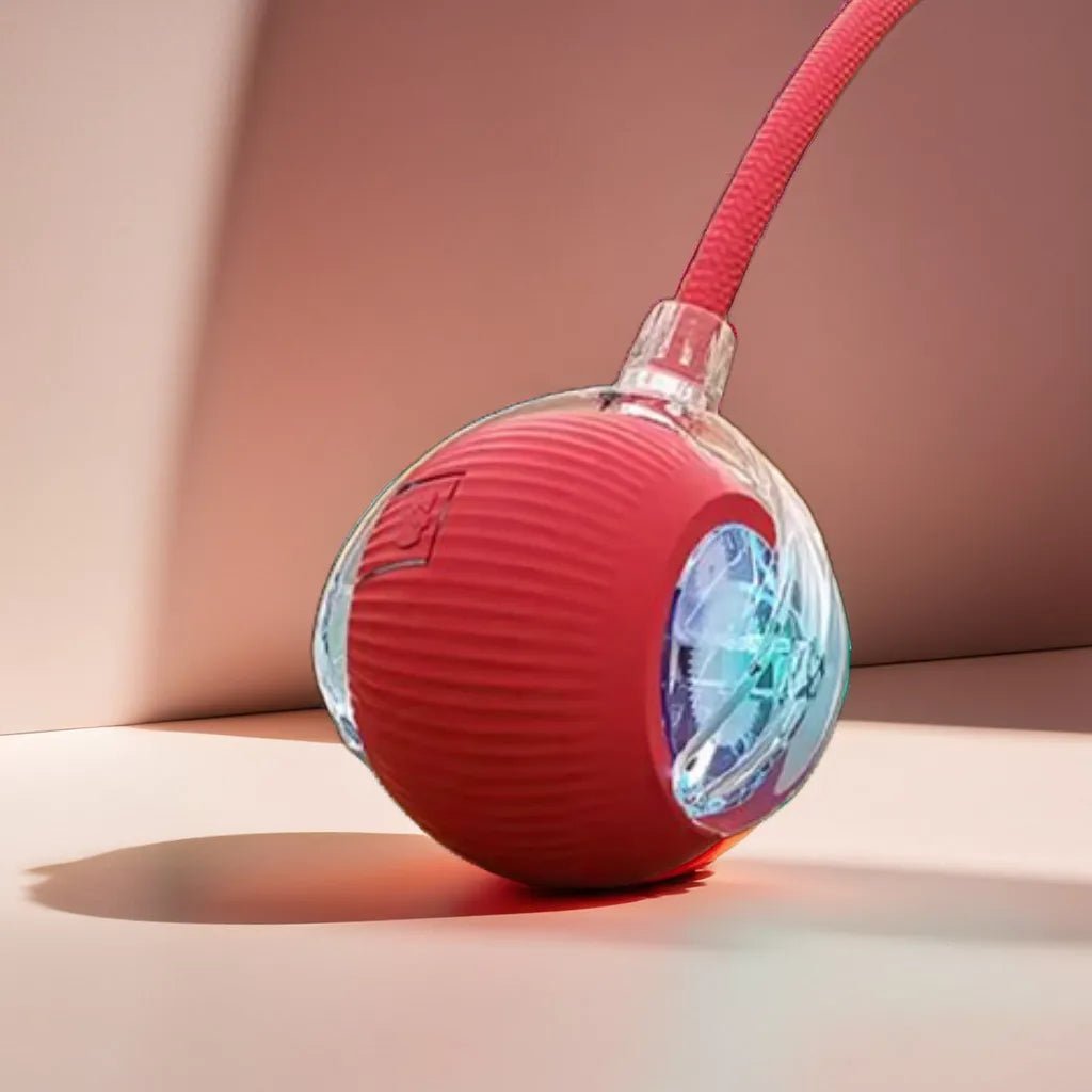 Balle interactive intelligente - Petoupet 2