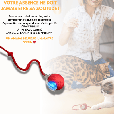 Balle interactive intelligente - Petoupet 2