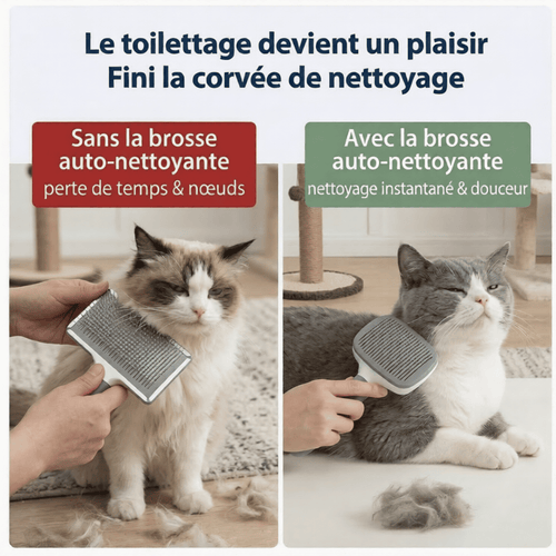Brosse Carde Auto-Nettoyante pour Chien & Chat