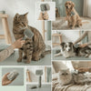 Brosse Carde Auto-Nettoyante pour Chien & Chat Ma boutique