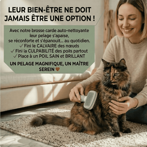 Brosse Carde Auto-Nettoyante pour Chien & Chat
