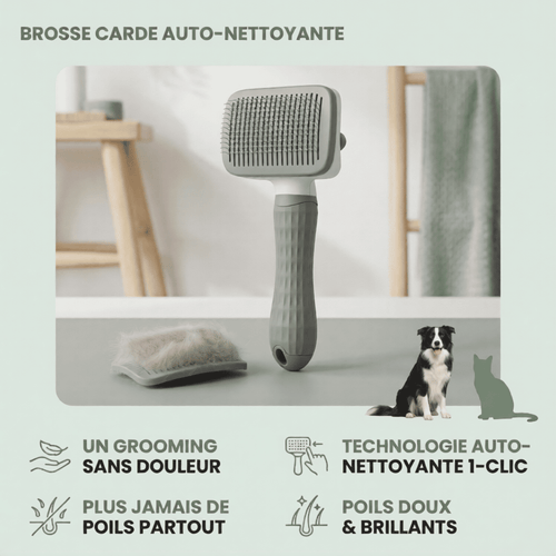 Brosse Carde Auto-Nettoyante pour Chien & Chat