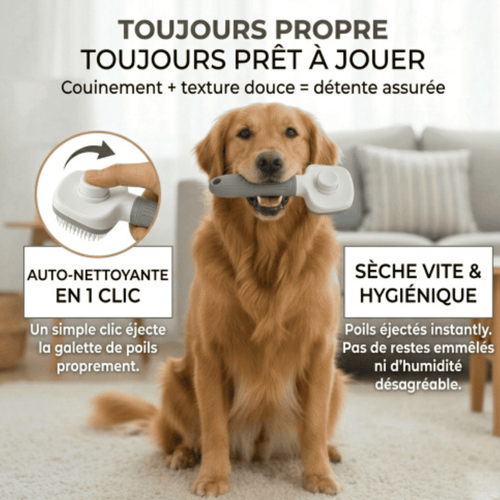 Brosse Carde Auto-Nettoyante pour Chien & Chat