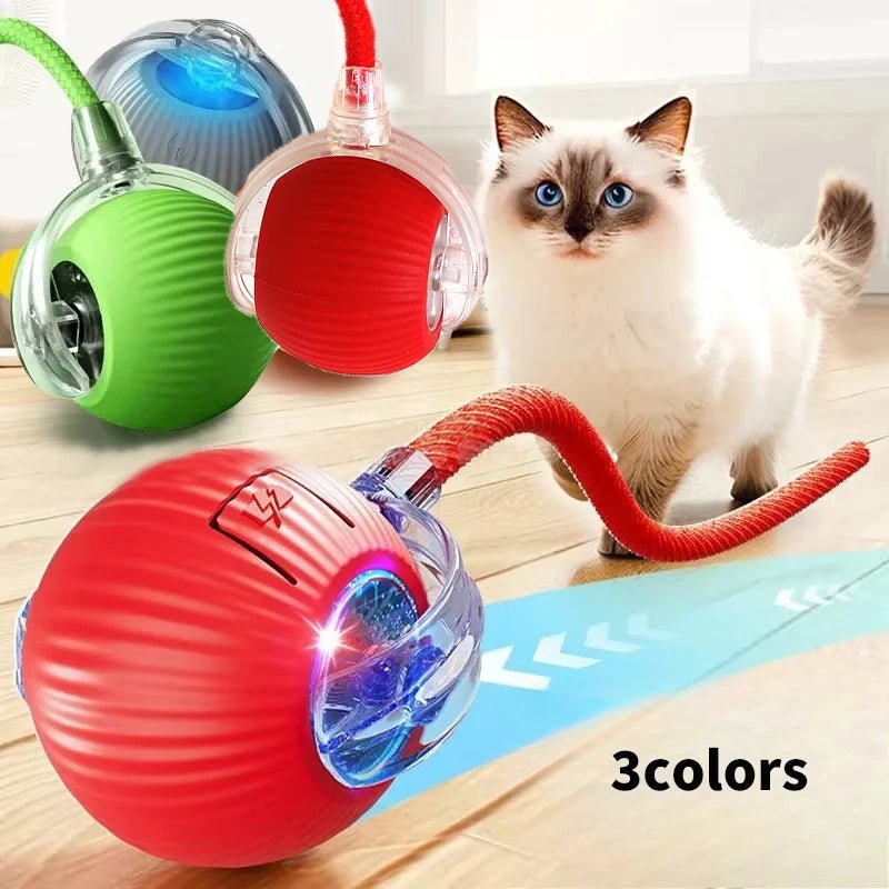 Cat Interactive Ball Toys Automatic Rolling Ball For Kitten Rechargeable Smart Pet Electric Toys With Teaser Sensor Cat Ball Toy - Petoupet 2