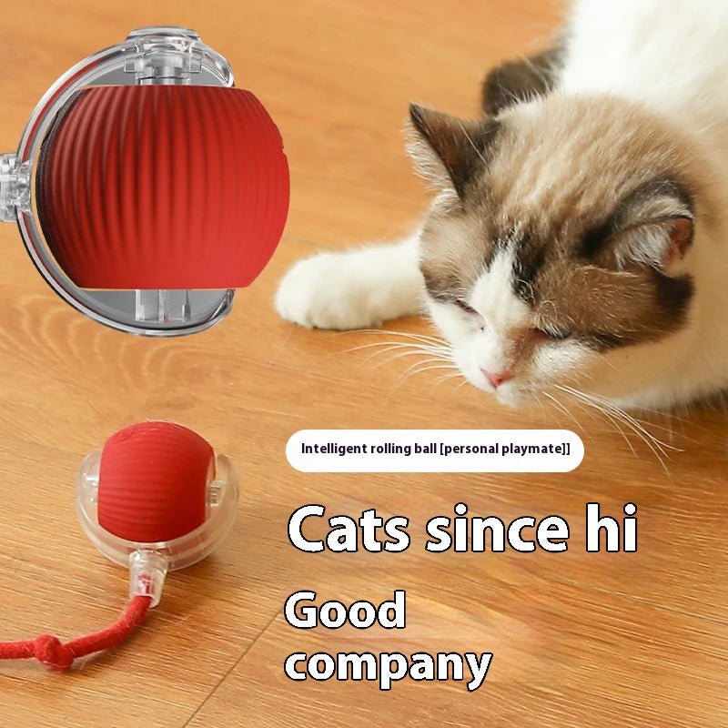 Cat Interactive Ball Toys Automatic Rolling Ball For Kitten Rechargeable Smart Pet Electric Toys With Teaser Sensor Cat Ball Toy - Petoupet 2