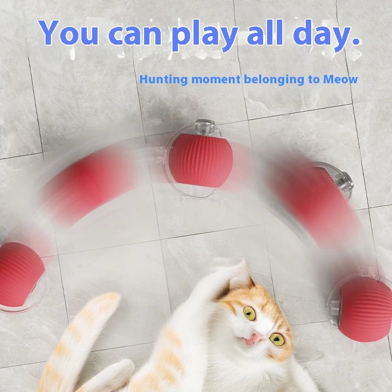 Cat Interactive Ball Toys Automatic Rolling Ball For Kitten Rechargeable Smart Pet Electric Toys With Teaser Sensor Cat Ball Toy - Petoupet 2