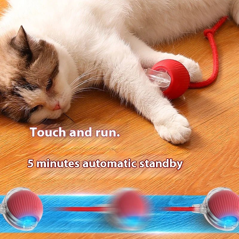 Cat Interactive Ball Toys Automatic Rolling Ball For Kitten Rechargeable Smart Pet Electric Toys With Teaser Sensor Cat Ball Toy - Petoupet 2