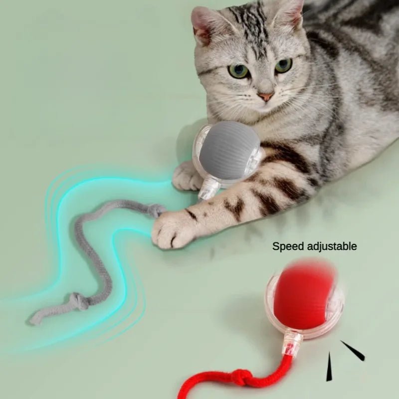 Cat Interactive Ball Toys Automatic Rolling Ball For Kitten Rechargeable Smart Pet Electric Toys With Teaser Sensor Cat Ball Toy - Petoupet 2