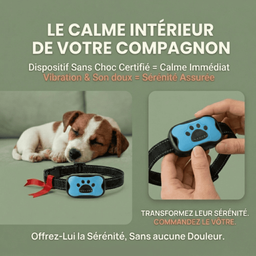 Collier Anti-Aboiement Intelligent - Sans Choc