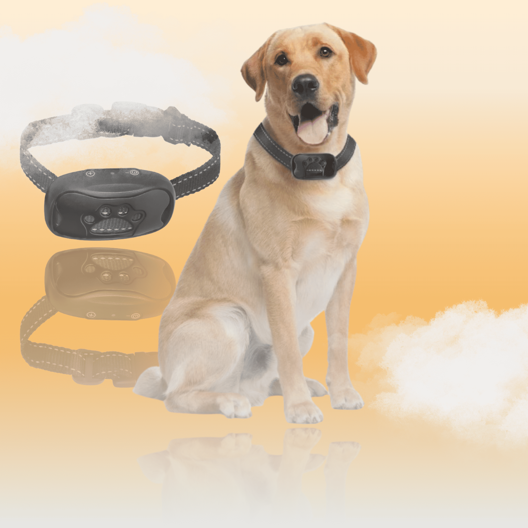 Collier Anti - Aboiement Intelligent - Sans Choc - Petoupet
