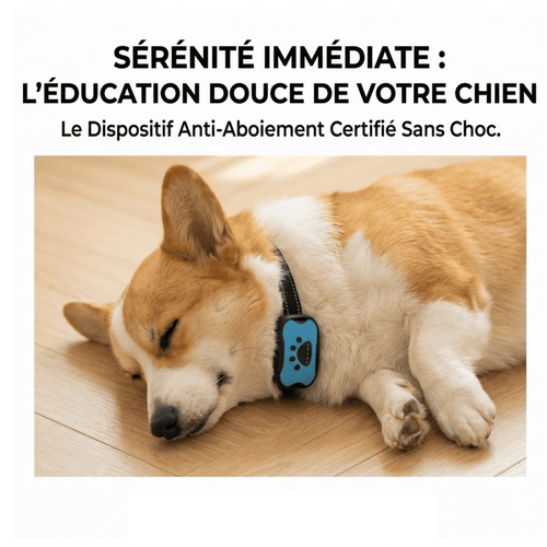 Collier Anti-Aboiement Intelligent - Sans Choc