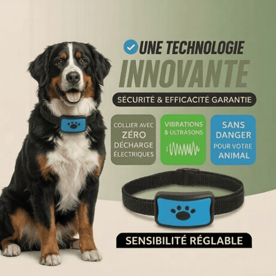Collier Anti-Aboiement Intelligent - Sans Choc