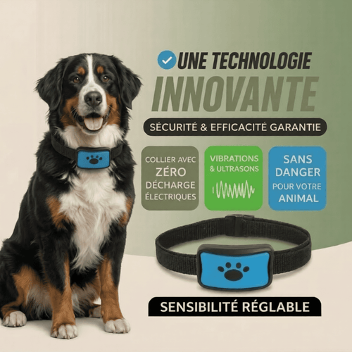 Collier Anti-Aboiement Intelligent - Sans Choc