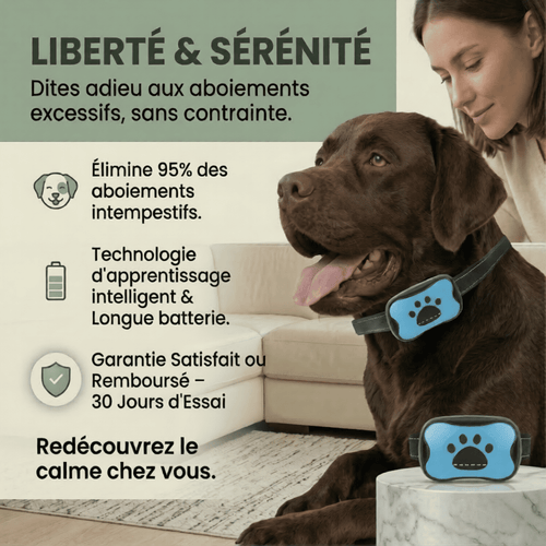 Collier Anti-Aboiement Intelligent - Sans Choc