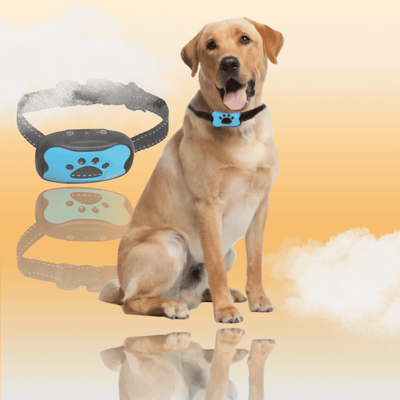 Collier Anti - Aboiement Intelligent - Sans Choc - Petoupet