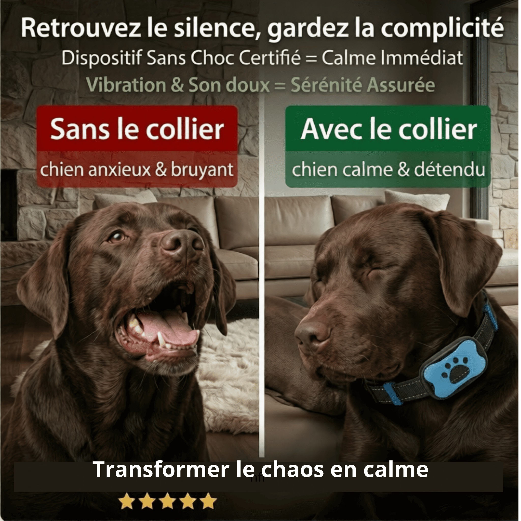 Collier Anti-Aboiement Intelligent - Sans Choc