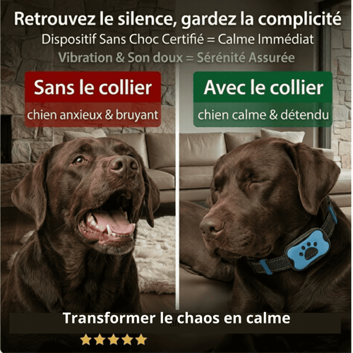 Collier Anti-Aboiement Intelligent - Sans Choc