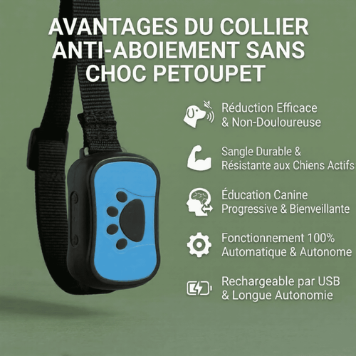 Collier Anti-Aboiement Intelligent - Sans Choc