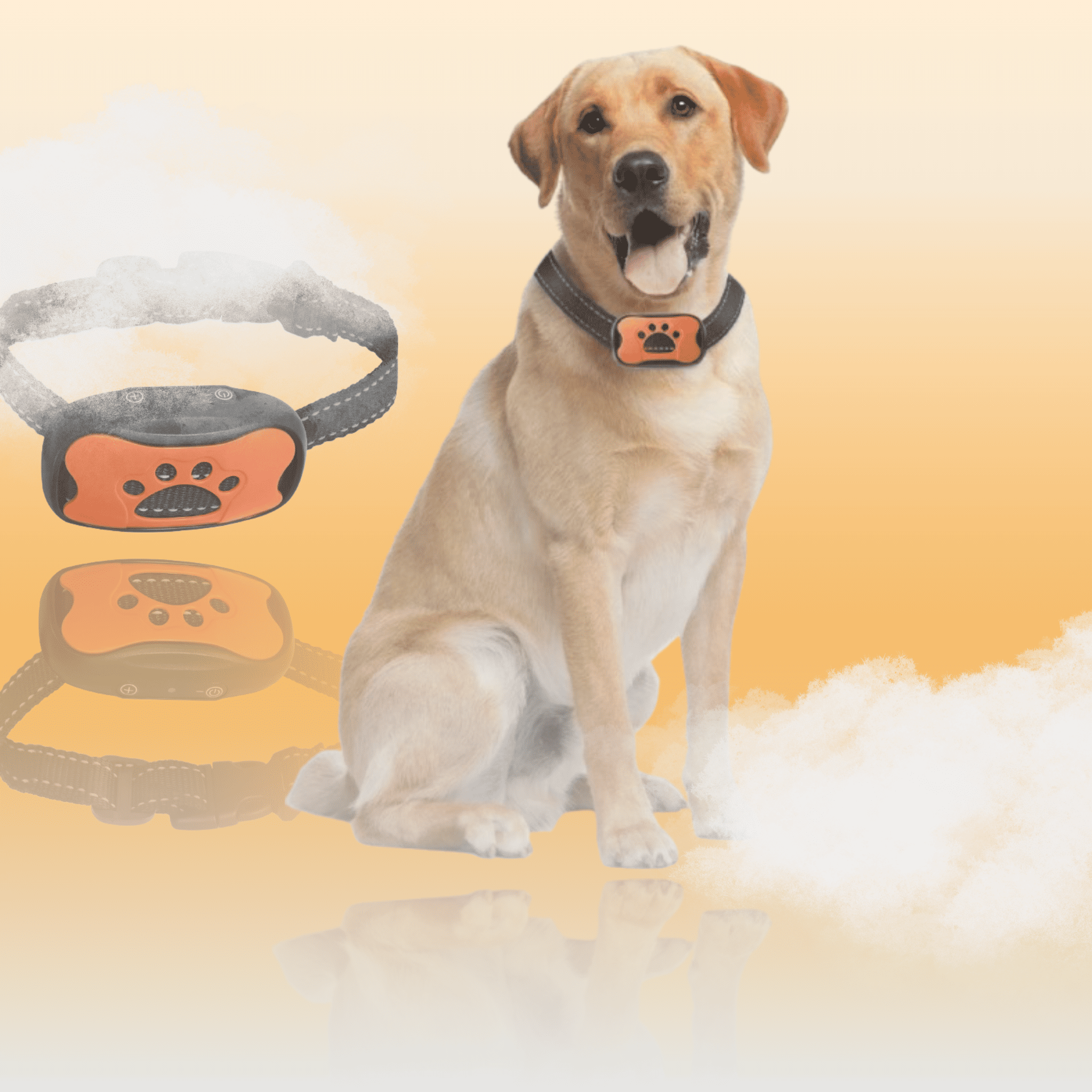 Collier Anti - Aboiement Intelligent - Sans Choc - Petoupet